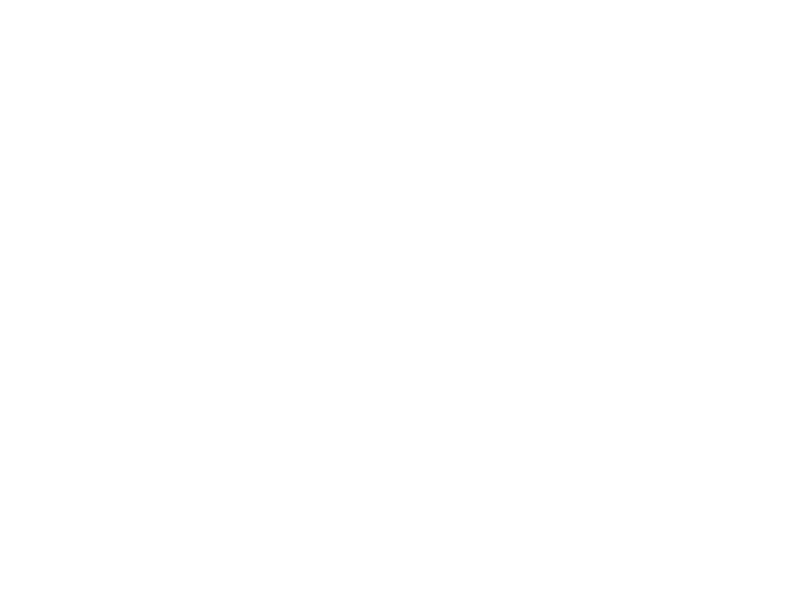 VIK Program
